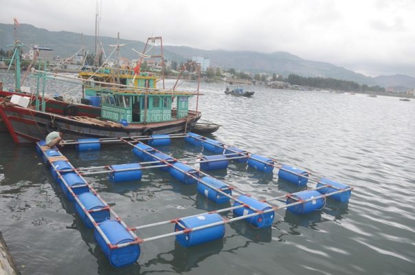 Ứng dụng thùng phuy nhựa làm bè nổi